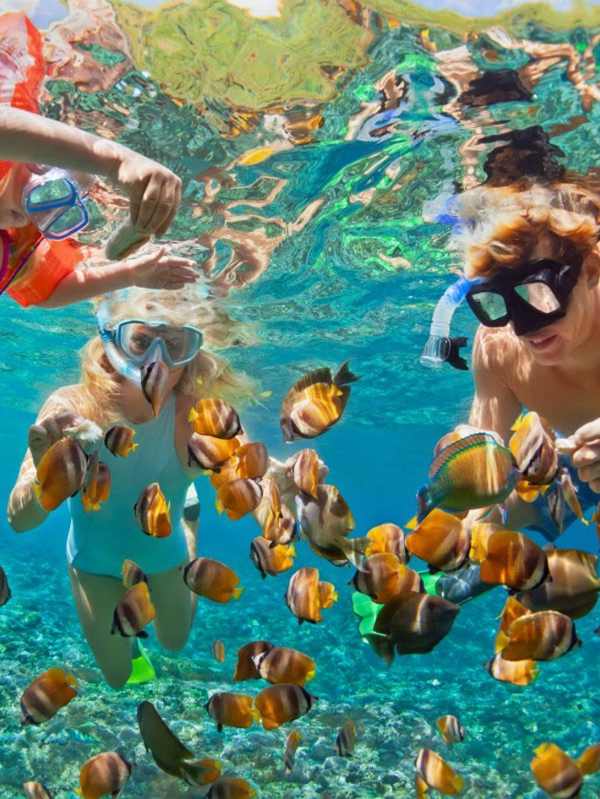 family snorkeling image