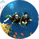 Scuba Image